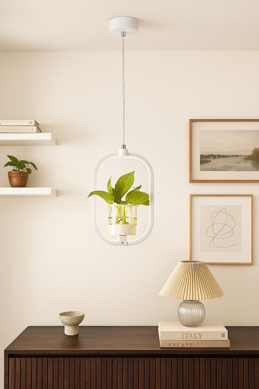 Hdc 18w Modern Hanging LED Pendant Light with Built-in Glass Planter Decorative Ceiling Lamp- Warm White