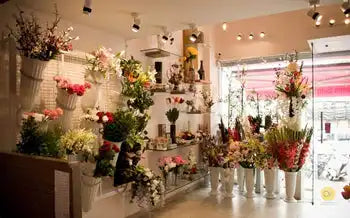 wall chandelier, wall lamps, Ceiling lights, chandelier, modern chandelier, pendant lights, Buy chandelier online, lights, lighting, buy lights online, lamps and lights, hdc lights, home decor, wall hangings, wall lamps for bedroom, wall fancy lights, jhumar for home, lamps for living room