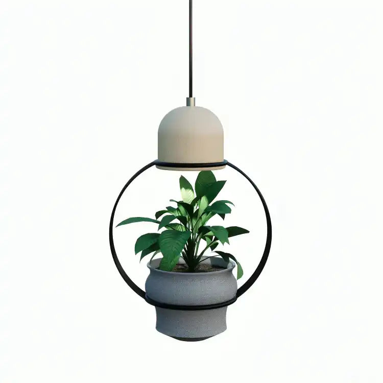Hdc Unique Pendant Lamp with Indoor Plant Display