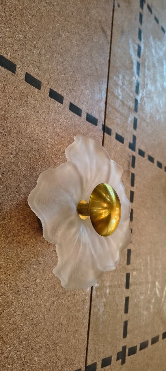 HDC Floral Glow Frosted Glass LED Wall Sconce