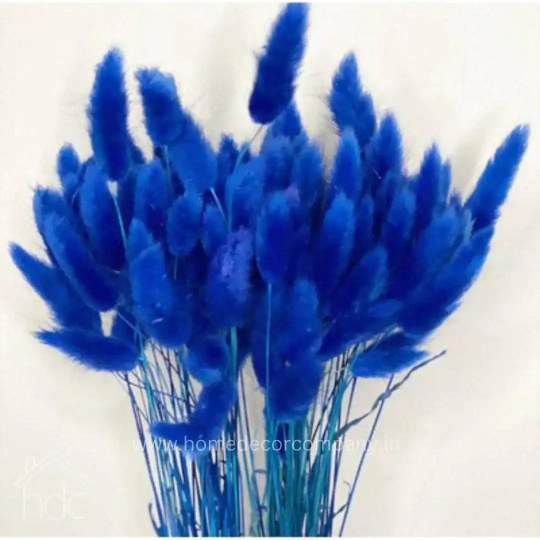 Hdc Naturally Dried Bunny Tail Flower Decor Bunch (Blue)