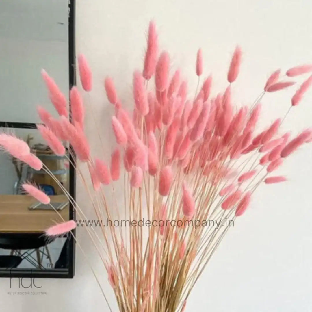 Hdc Naturally Dried Bunny Tail Flower Decor Bunch (Pink)