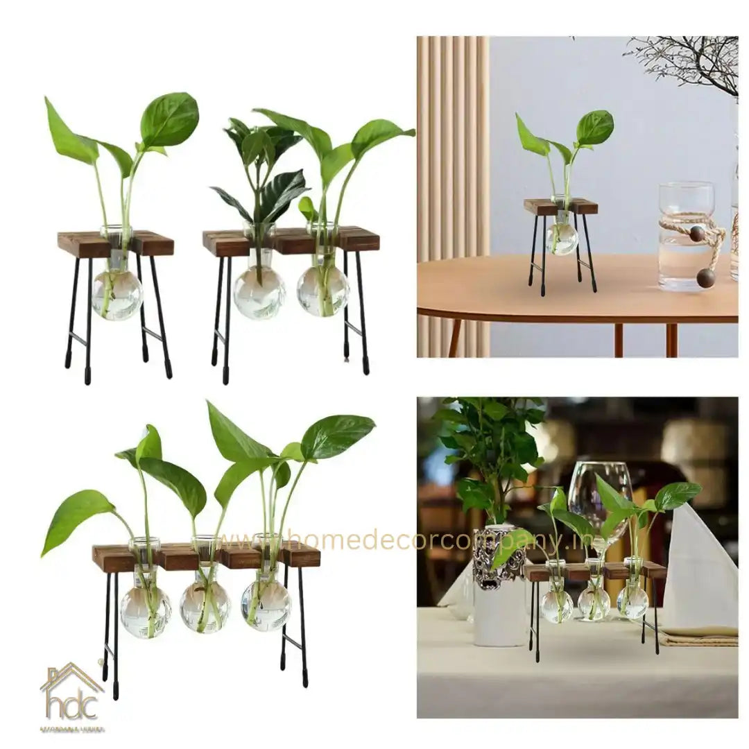 HDC Indoor Propagation Station Wooden Stand With 2 Bulb-Shaped Glass Vases Test Tube (Style 2)