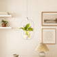 Hdc 18w Modern Hanging LED Pendant Light with Built-in Glass Planter Decorative Ceiling Lamp- Warm White