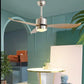 Hdc Led Living Room Ceiling Light with Remote Control Dimmable Ceiling Fan Lights