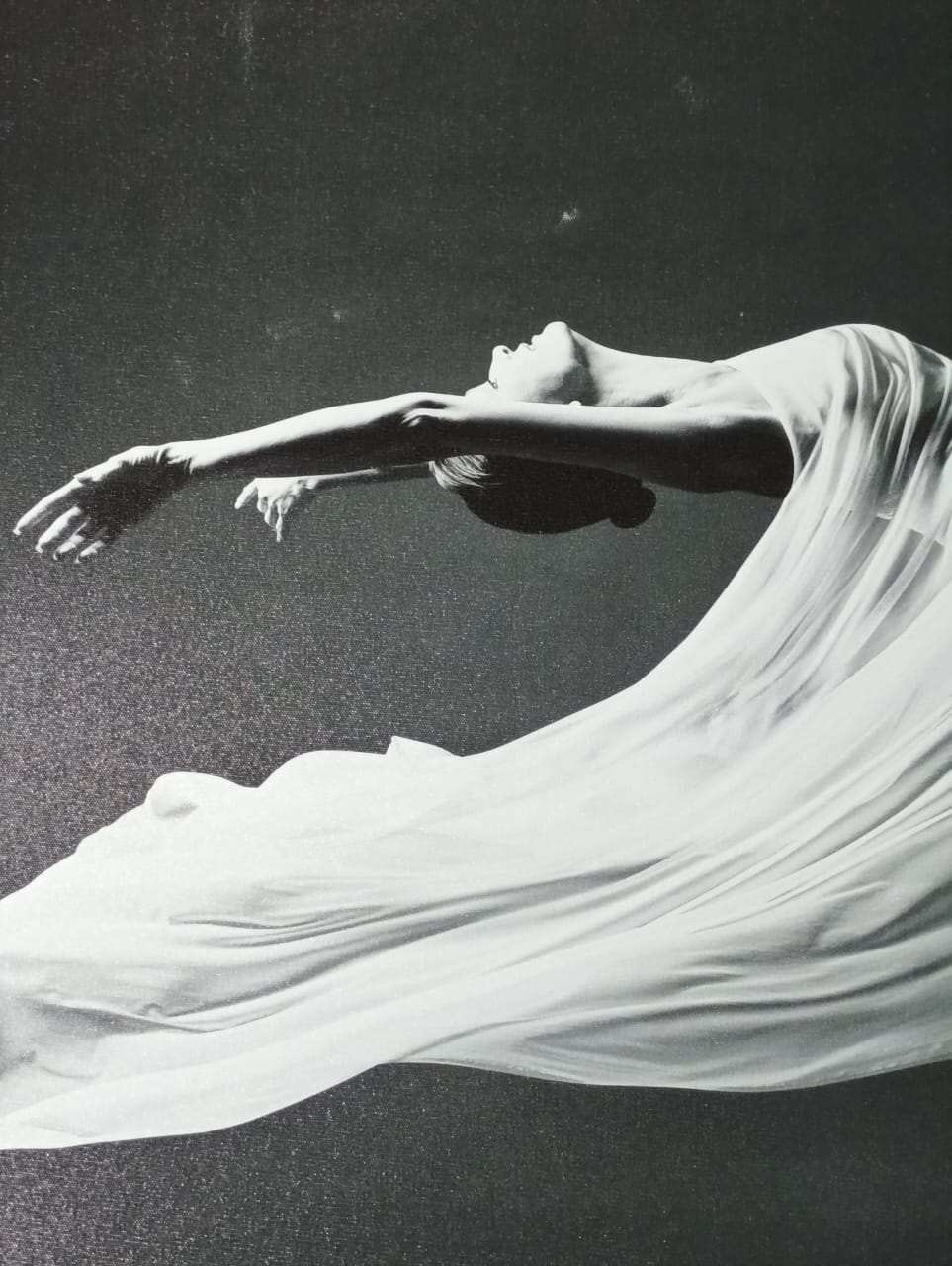 Hdc Graceful Ballet Dancer Canvas Painting Gift Elegant Dance Art for Home and Living Room Decor