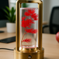 Hdc  Modern Glass LED Table Lamp with Real Preserved Flowers Minimalist Floral Desk Light for Bedroom & Office Decor