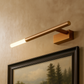 Hdc Minimalist Rose Gold Sleek LED Picture Wall Light- Tricolor