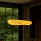 HDC Modern Curved Shell Pendant Light – Sculptural Warm LED Ceiling Lamp for Dining, Lounge & Contemporary Interiors