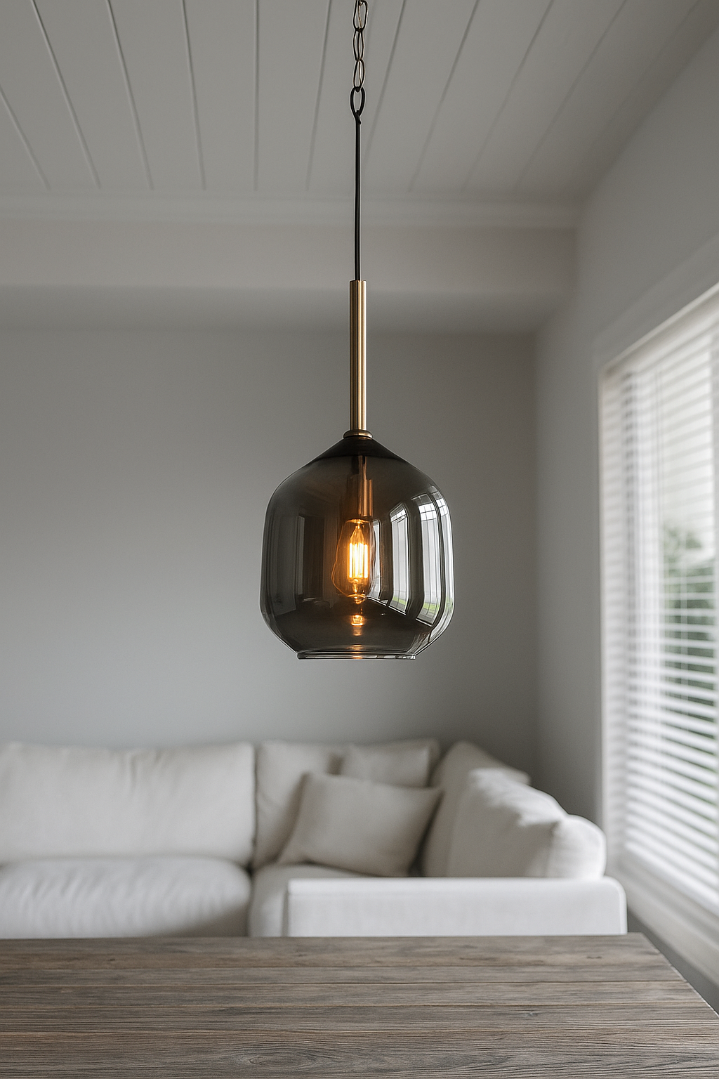 HDC Smoke-Glass Pendant Light with Gold Accents For Living Room