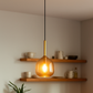 HDC Modern Amber Glass Pendant Light with Gold Accents For Living Room