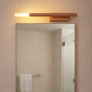 Hdc Minimalist Rose Gold Sleek LED Picture Wall Light- Tricolor