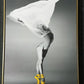 Hdc Graceful Ballet Dancer Canvas Painting Gift Elegant Dance Art for Home and Living Room Décor - HDC Lights