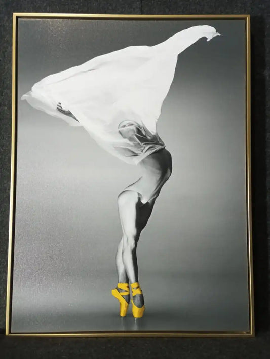 Hdc Graceful Ballet Dancer Canvas Painting Gift Elegant Dance Art for Home and Living Room Décor - HDC Lights