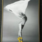 Hdc Graceful Ballet Dancer Canvas Painting Gift Elegant Dance Art for Home and Living Room Décor - HDC Lights