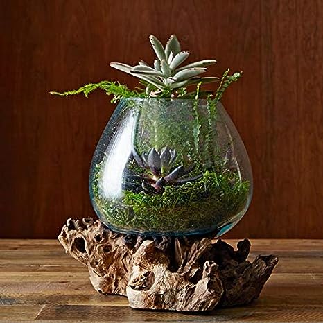 Molten glass, Indonesia vase, molten glass vase, glass décor vase, vase, bali glass vase, bali vases, molten glass pot, molten glass aquarium, aquarium, glass, pots, planters, pots and planters, architect, Indonesia vase, artasy, artment, bohemian decor, Brass crafts, Cultural artifacts, Custom-made artifacts, decor, decor hdc, decor home, decorative black sculpture, donut, donut pampas vase, Exquisite pieces, flower vase online shopping, flower vases online, frp artifacts, hdc, 