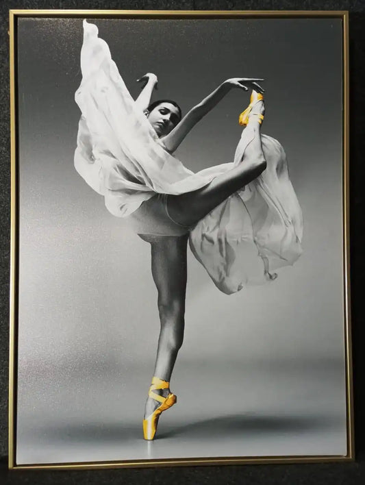Hdc Graceful Ballet Dancer Canvas Painting Gift Elegant Dance Art for Home and Living Room Décor