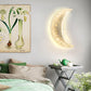 HDC 500mm Luxury Moon Crescent Modern Decorative LED Wall Lamp