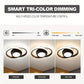 HDC 250mm Premium Modern Ring LED Ceiling Light for Living Room & Bedroom