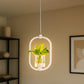 Hdc 18w Modern Hanging LED Pendant Light with Built-in Glass Planter Decorative Ceiling Lamp- Warm White