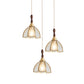 HDC Vintage Glass Pendant Light for Dining Room & Kitchen