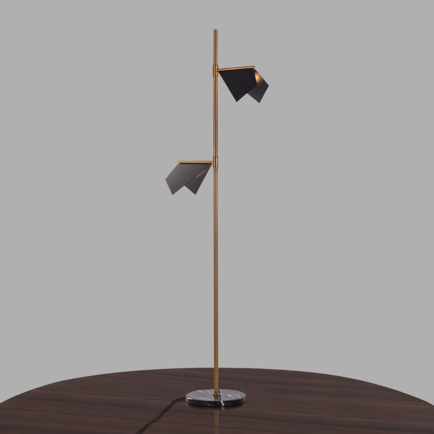 Hdc Gold & Black Body 2 Light Floor Lamp For Home, Office