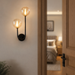 HDC Modern Dual Globe Wall Light for Bedroom, Living Room
