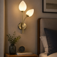 HDC Modern Dual Glass Wall Light for Bedroom, Living Room & Hallway
