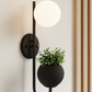 HDC Black Modern Wall Light with Glass Globe Shade LED Wall Lamp with Planter Pot For Living Room, Balcony