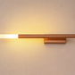 Hdc Minimalist Rose Gold Sleek LED Picture Wall Light- Tricolor
