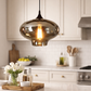 Hdc 1 Light Smokey Grey Glass Pendant Lighting Fixture