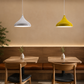 Ojaro Modern Dome Metal Pendant Light for Dining & Kitchen, Bedroom, Cafe