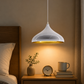 Ojaro Modern Dome Metal Pendant Light for Dining & Kitchen, Bedroom, Cafe