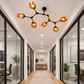 HDC Amber/Smoke Modern Molecular Glass Ceiling Chandelier for Living Room