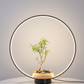 Hdc Round LED Lamp with Planter – Modern Decorative Table Lamps