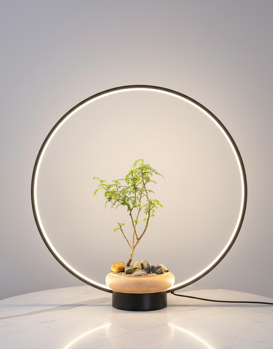 Hdc Round LED Lamp with Planter – Modern Decorative Table Lamps