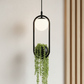 Hdc Modern Black Pendant Light with Glass Globe Hanging LED Lamp with Planter Pot