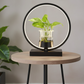 Hdc LED Round Lamp with Vase – Modern Minimalist Desk and Table Light