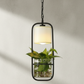 Hdc Modern Black Frame with Glass Planter and Fabric Shade Hanging Planter LED Pendant Light