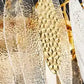 wall chandelier, wall lamps, Ceiling lights, chandelier, modern chandelier, pendant lights, Buy chandelier online, lights, lighting, buy lights online, lamps and lights, hdc lights, home decor, wall hangings, wall lamps for bedroom, wall fancy lights,  jhumar for home, lamps for living room