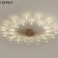 wall chandelier, wall lamps, Ceiling lights, chandelier, modern chandelier, pendant lights, Buy chandelier online, lights, lighting, buy lights online, lamps and lights, hdc lights, home decor, wall hangings, wall lamps for bedroom, wall fancy lights,  jhumar for home, lamps for living room