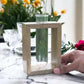 HDC Indoor Propagation Station Wooden Stand With 1 Glass Vases Test Tube (Style 1)