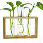 HDC Indoor Propagation Station Wooden Stand With 3 Glass Vases Test Tube (Style 2)