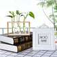 HDC Indoor Propagation Station Wooden Stand With 3 Glass Vases Test Tube (Style 2)