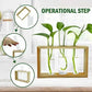 HDC Indoor Propagation Station Wooden Stand With 3 Glass Vases Test Tube (Style 2)