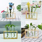 HDC Indoor Propagation Station Wooden Stand With 3 Glass Vases Test Tube (Style 2)