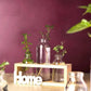 HDC Indoor Propagation Station Wooden Stand With 3 Jars Home Glass Tube Vases