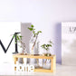 HDC Indoor Propagation Station Wooden Stand With 3 Jars Home Glass Tube Vases