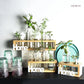HDC Indoor Propagation Station Wooden Stand With 3 Jars Home Glass Tube Vases