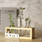 HDC Indoor Propagation Station Wooden Stand With 3 Jars Home Glass Tube Vases